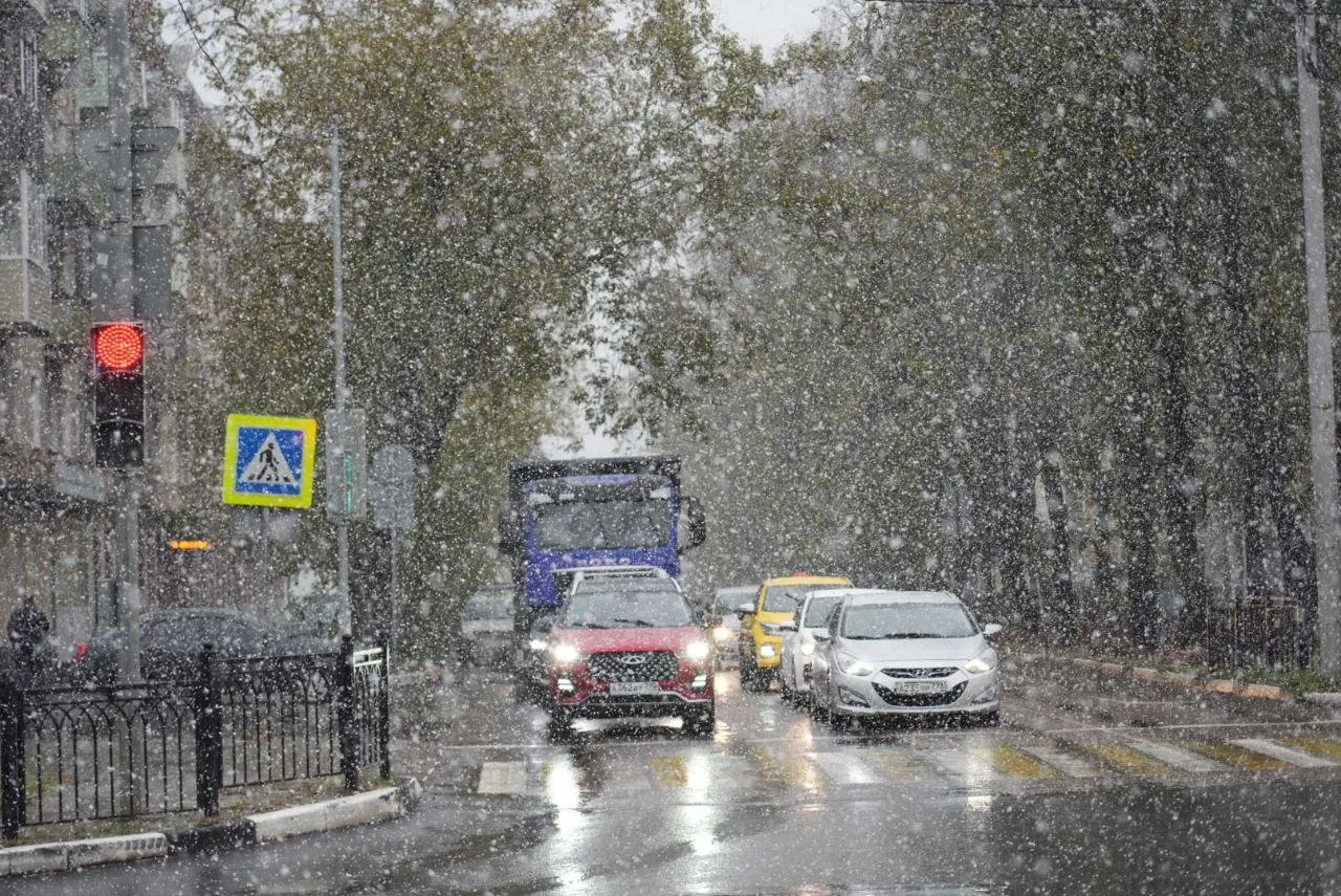 Дмитрий Зайчиков