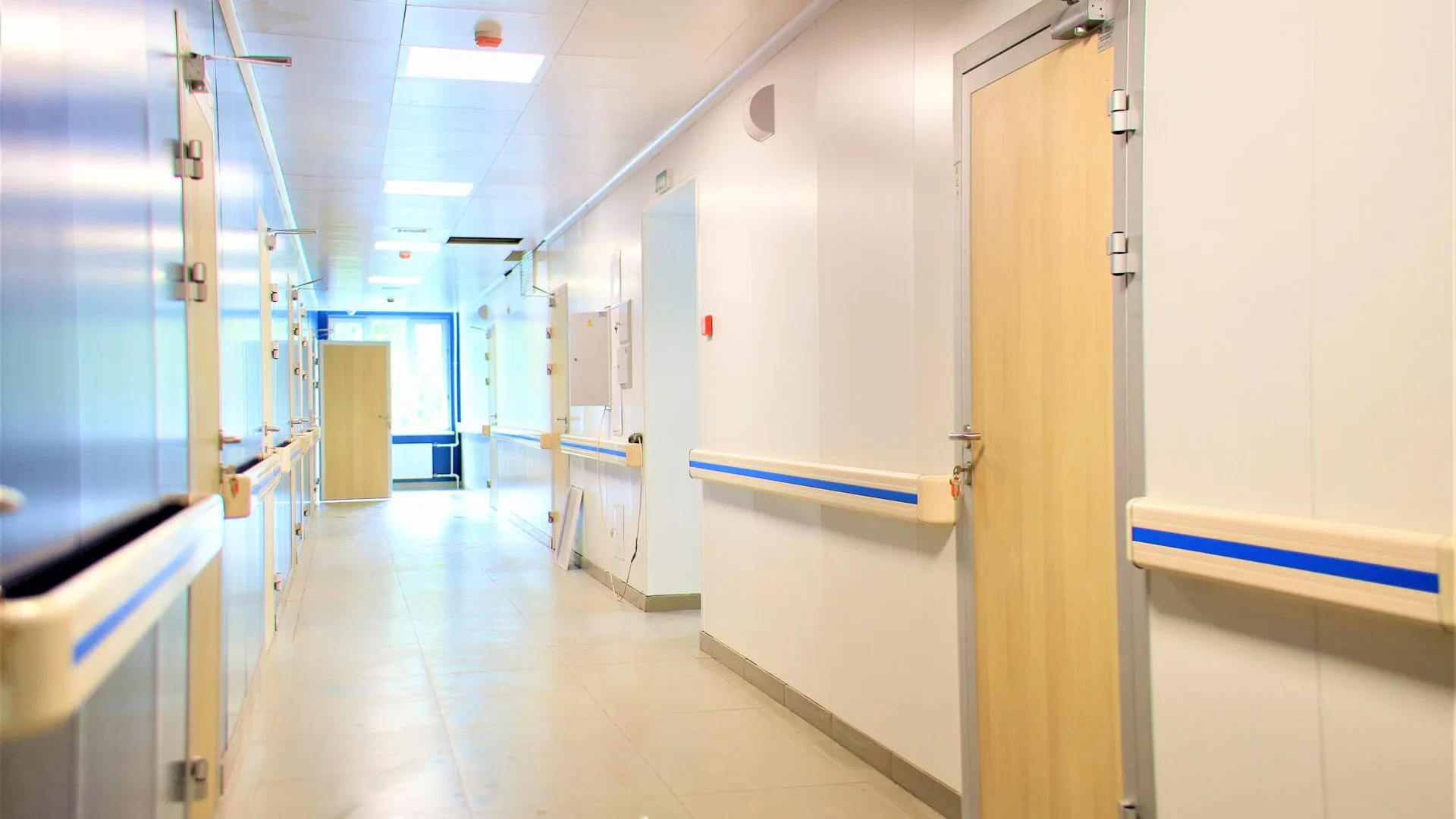 Фото: пресс-служба губернатора и правительства Московской области