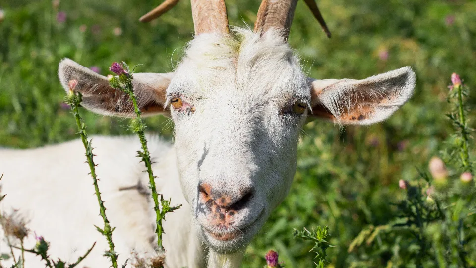 Тематическое изображение. Фото: freepik.com