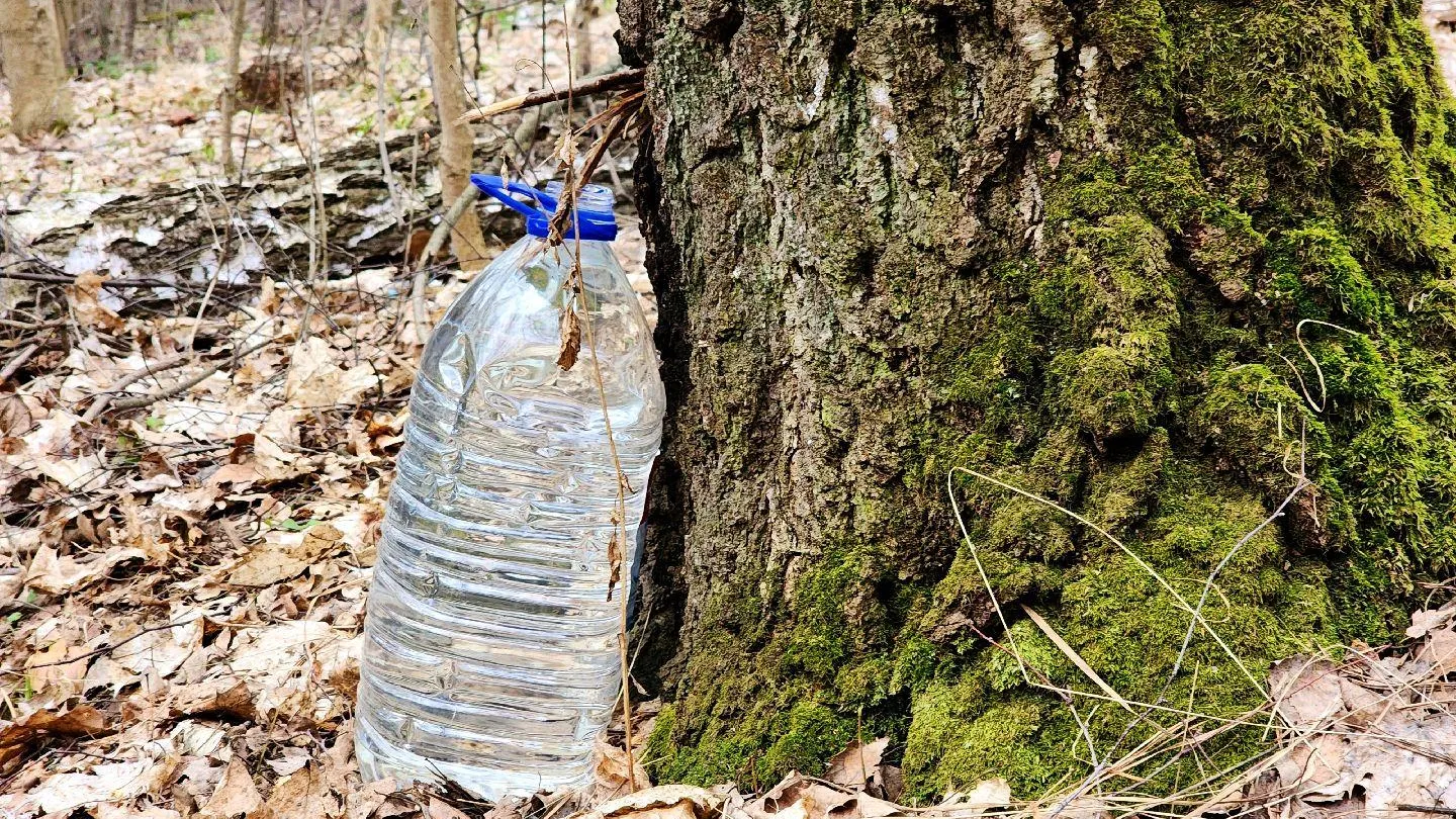МедиаБанк Подмосковья/Мария Панина