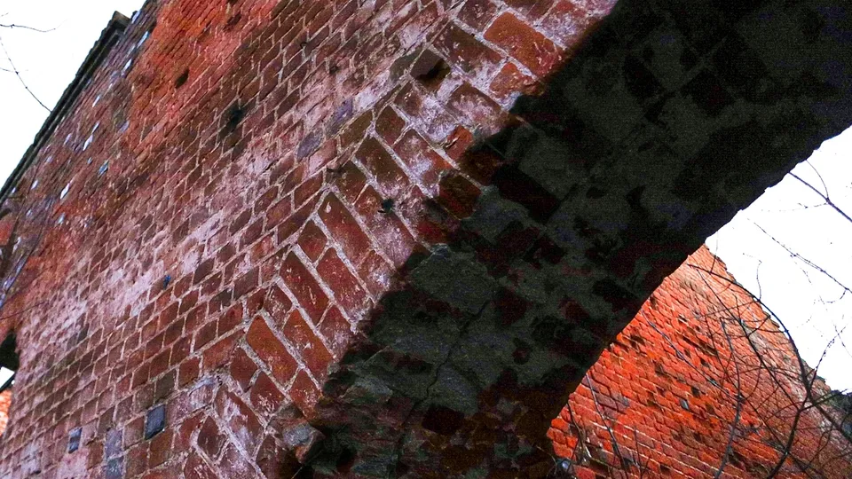 Фото: Анна Реппель