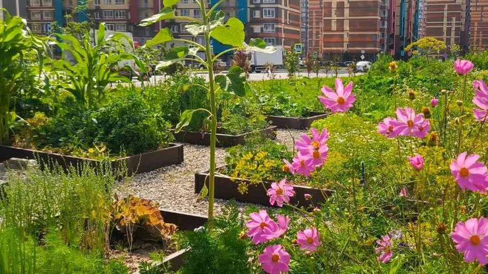 Фото: ГК «Самолет»