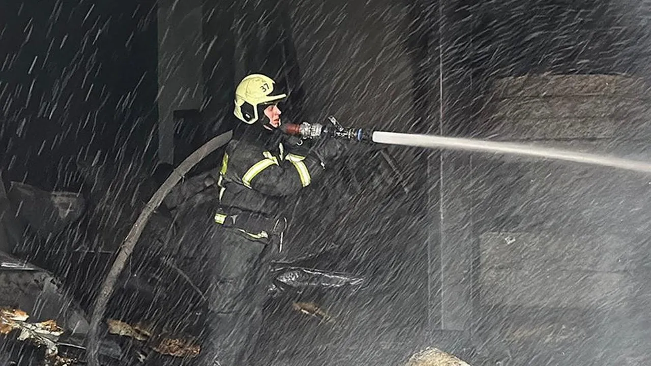 МедиаБанк Подмосковья/Данила Кирьянов