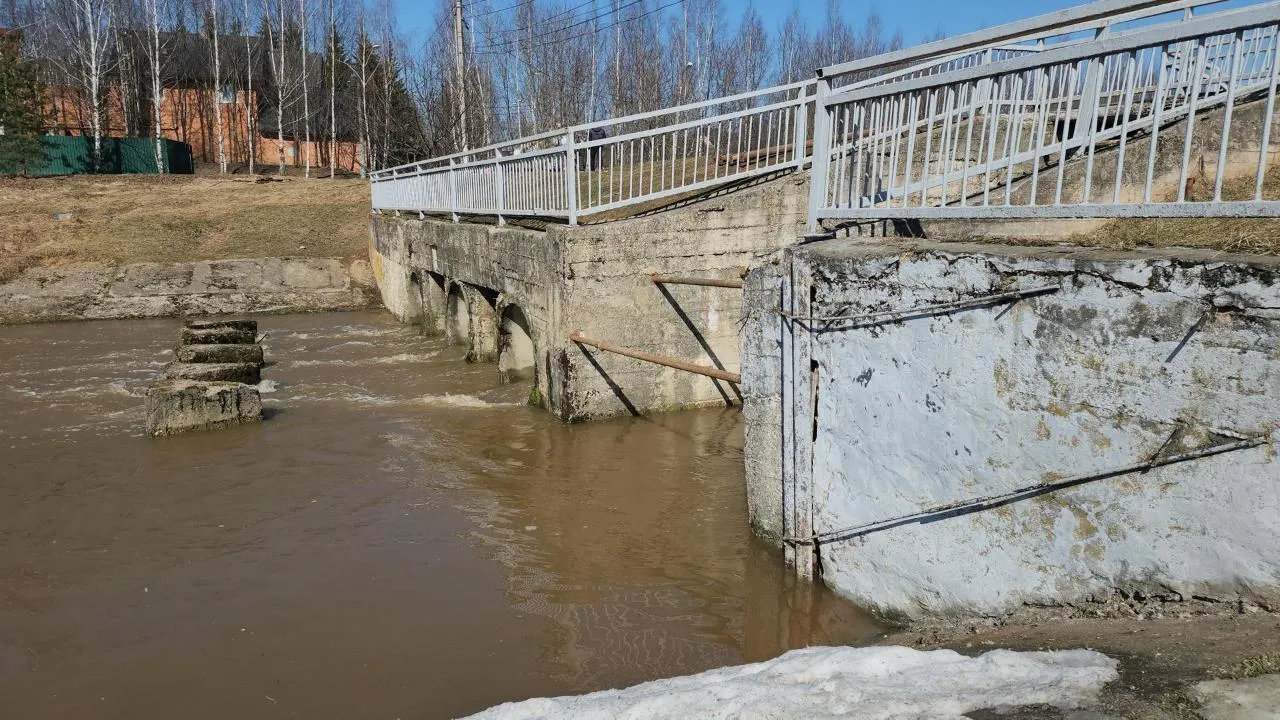 REGIONS/Кристина Ларина