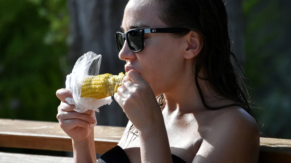 Фото: РИА Новости/Константин Михальчевский