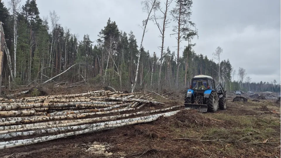 Фото: Юлия Выборова
