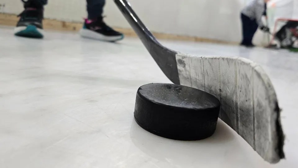 Фото: МедиаБанк Подмосковья/Яна Шаливская