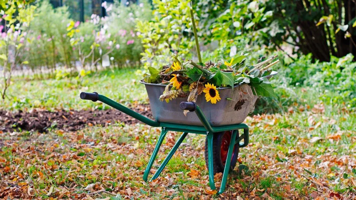 Фото: Соцсети