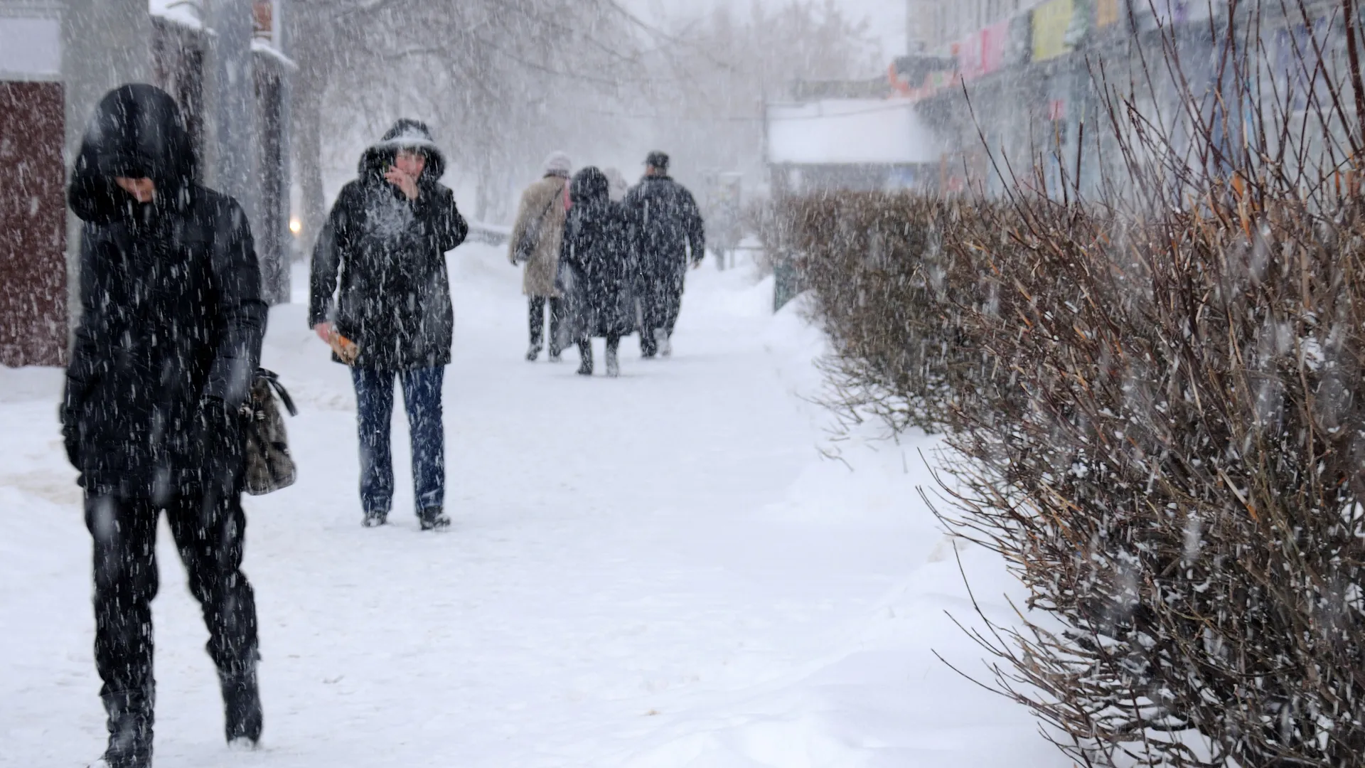 Метель в Балашихе