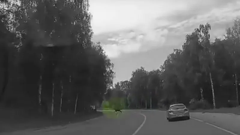 Скришот видео Новое Поколение / YouTube