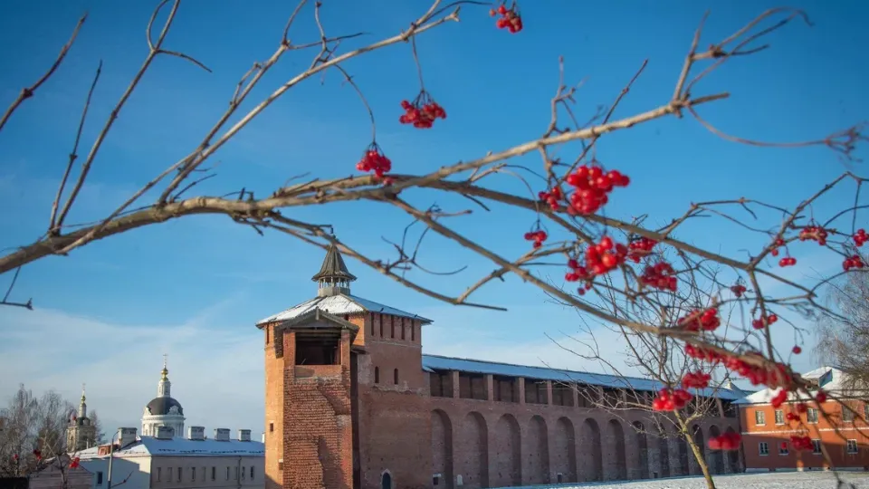 Фото: пресс-служба администрации г.о. Коломна