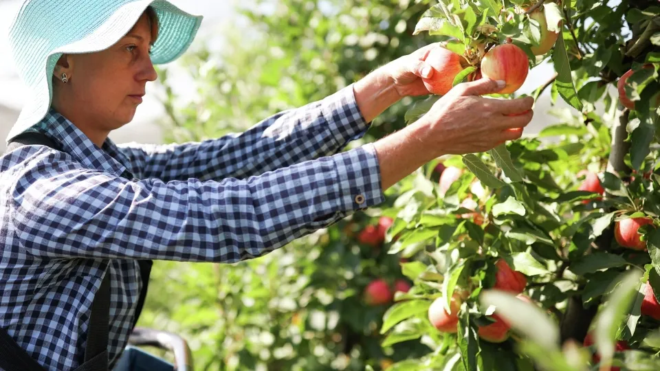 Фото: РИА Новости/Виталий Тимкив