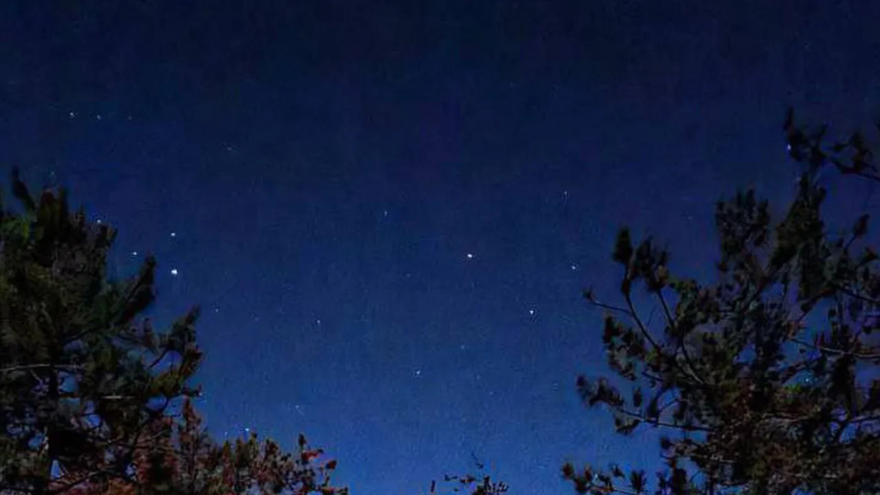 Фото: REGIONS/Анастасия Широкая