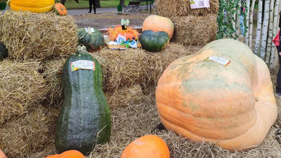 Фото: REGIONS/Елена Забелина