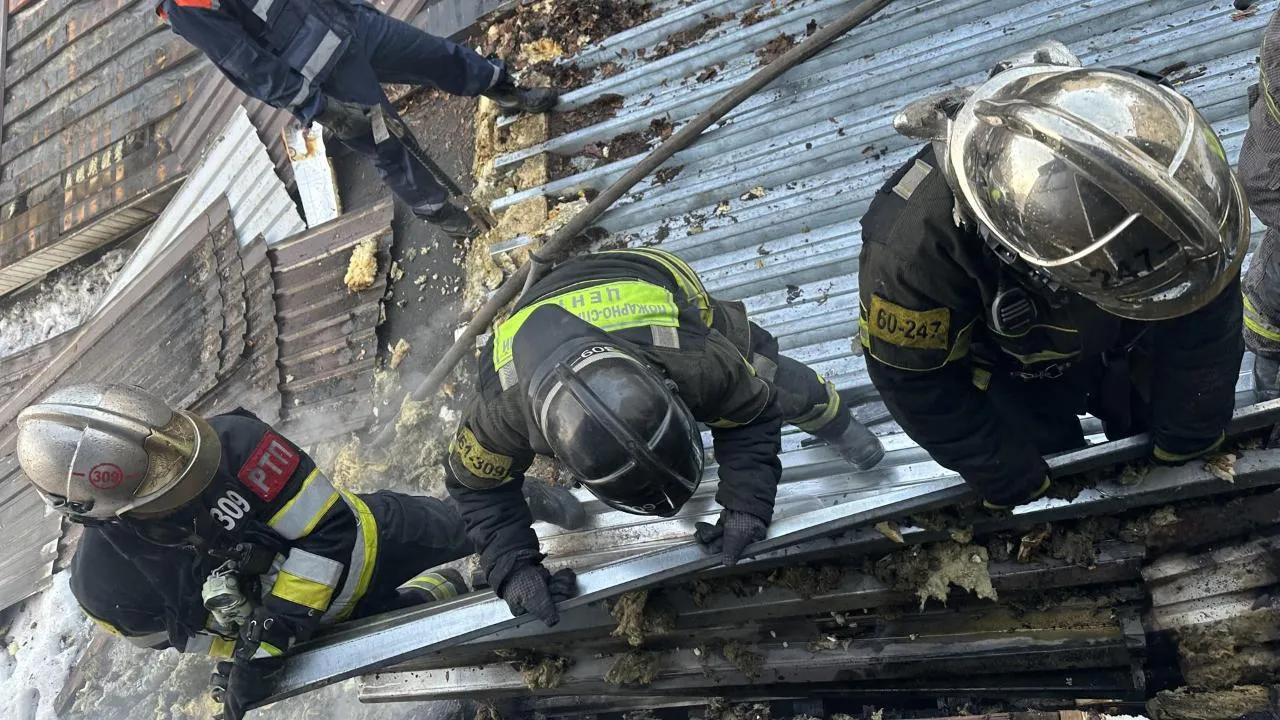 REGIONS/Мария Шигорева