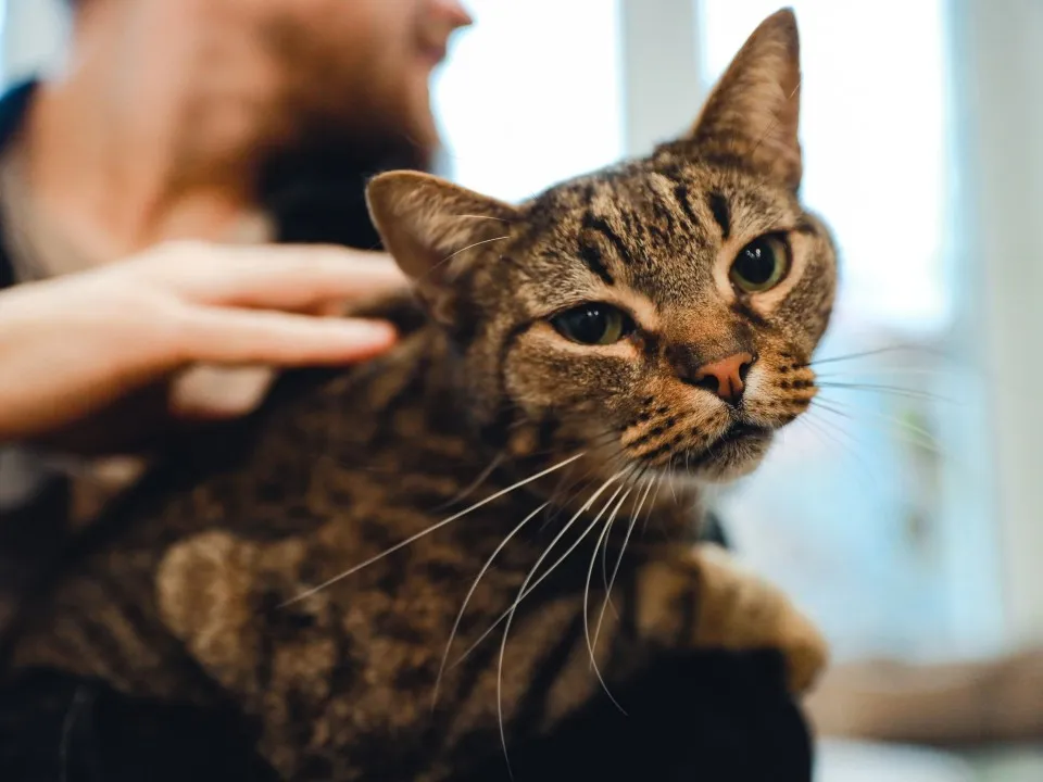 Фото: пресс-служба администрации г.о. Химки