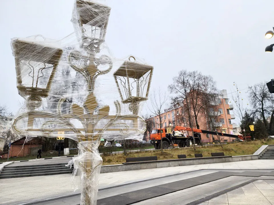 Фото: МедиаБанк Подмосковья/Ольга Аввакумова