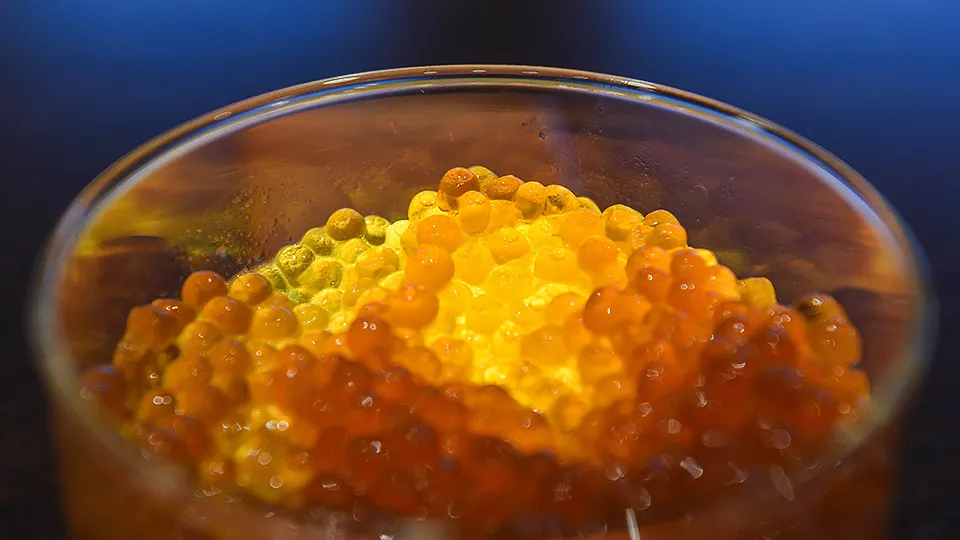 Фото: медиасток.рф