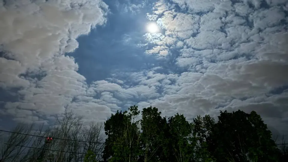 Фото: REGIONS/Евгения Макаренко