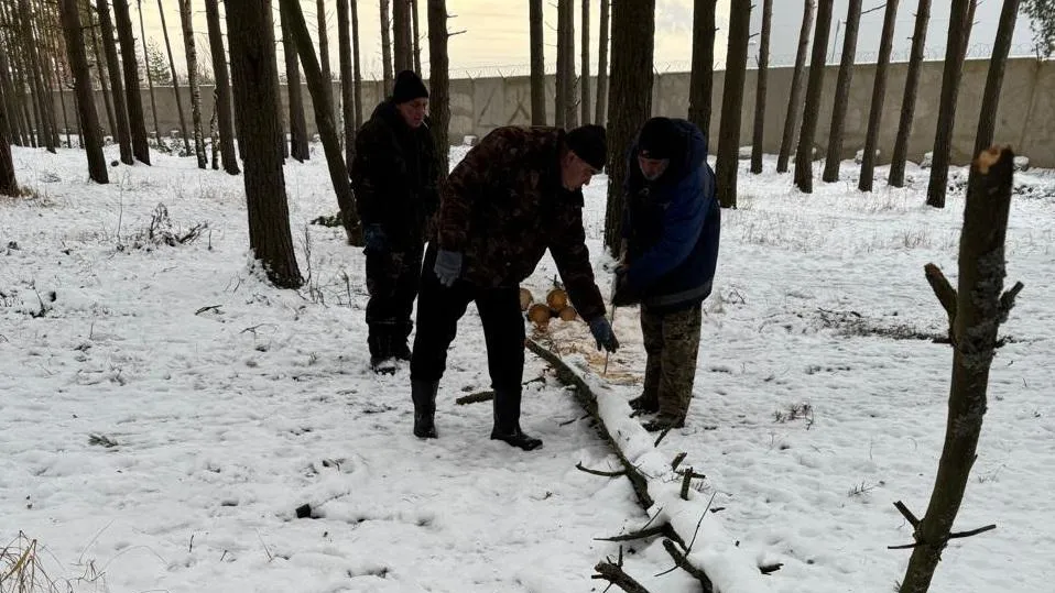 Масштабную уборку буреломных деревьев провели в Дубне