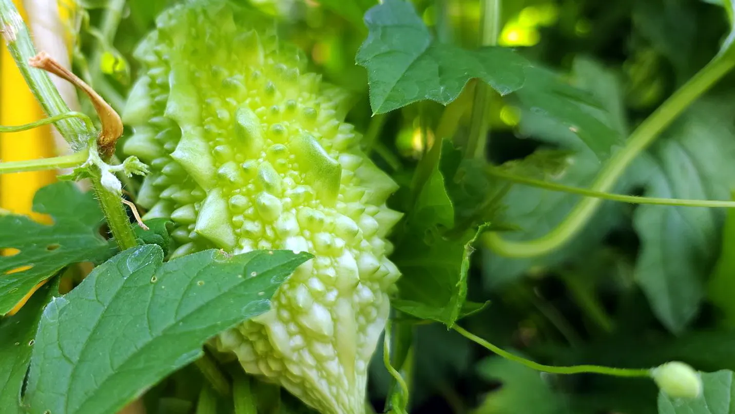 Фото: Ксения Пашуто