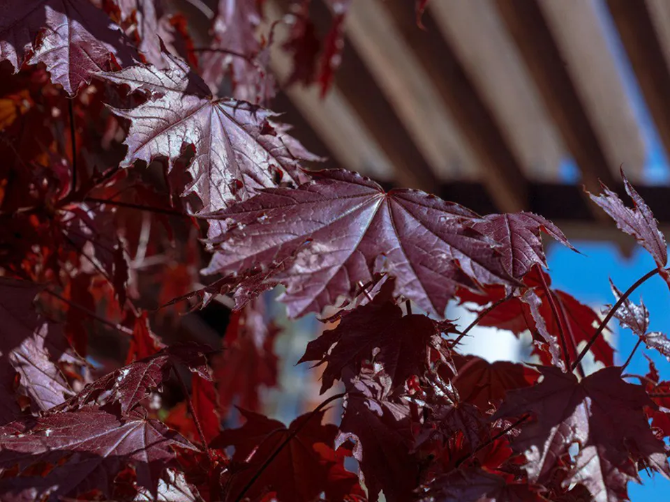 Фото: REGIONS/Роман Малышенко