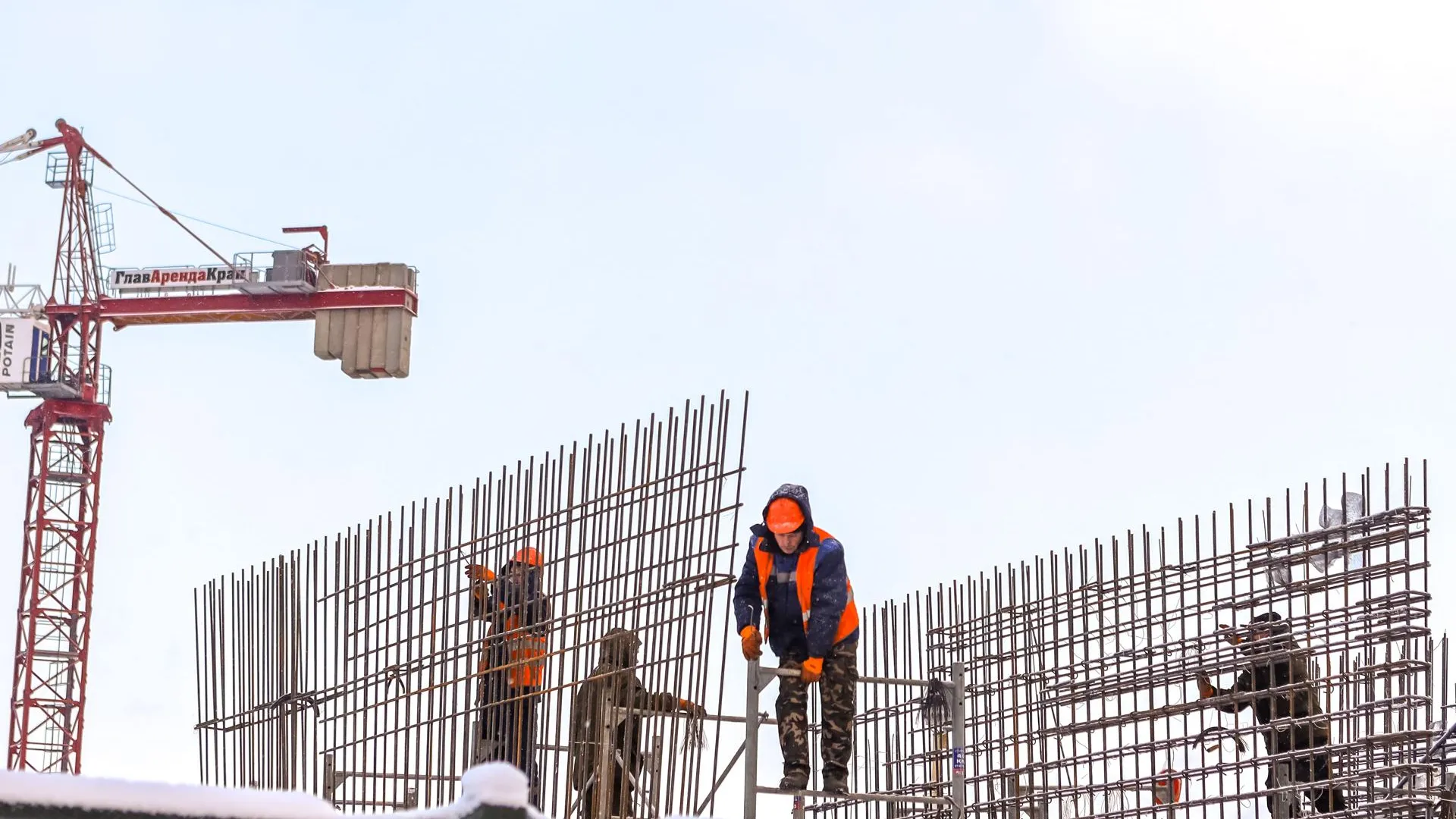 Наталья Лымарь