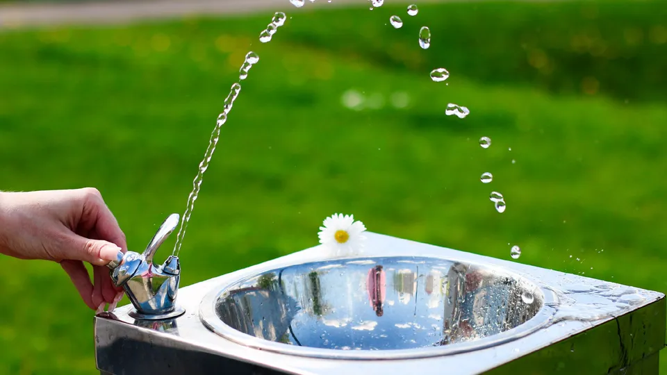 Фото: Министерство культуры и туризма Московской области