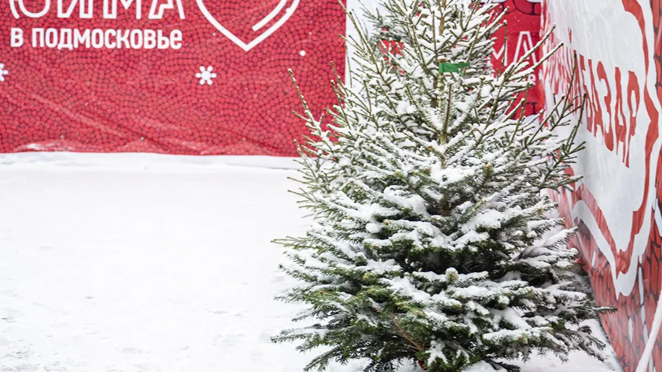 Фото: администрация г. о. Ленинский