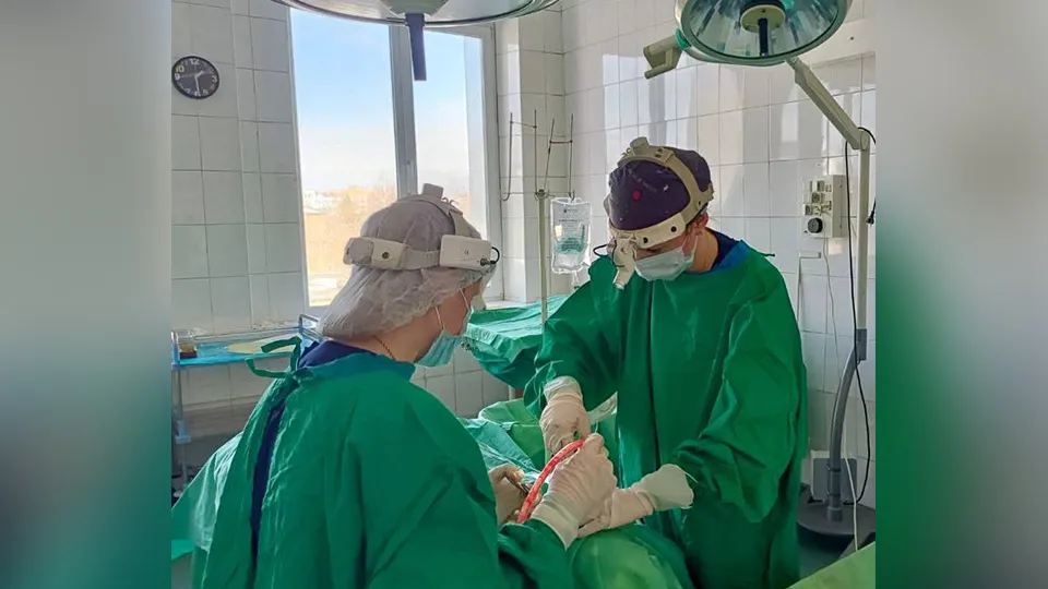 Фото: Министерство здравоохранения Московской области