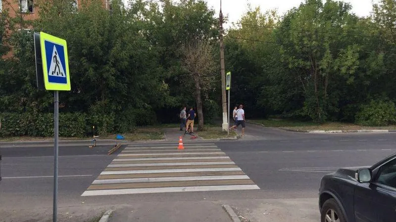 Девушку с борзой сбили на пешеходном переходе в Подольске