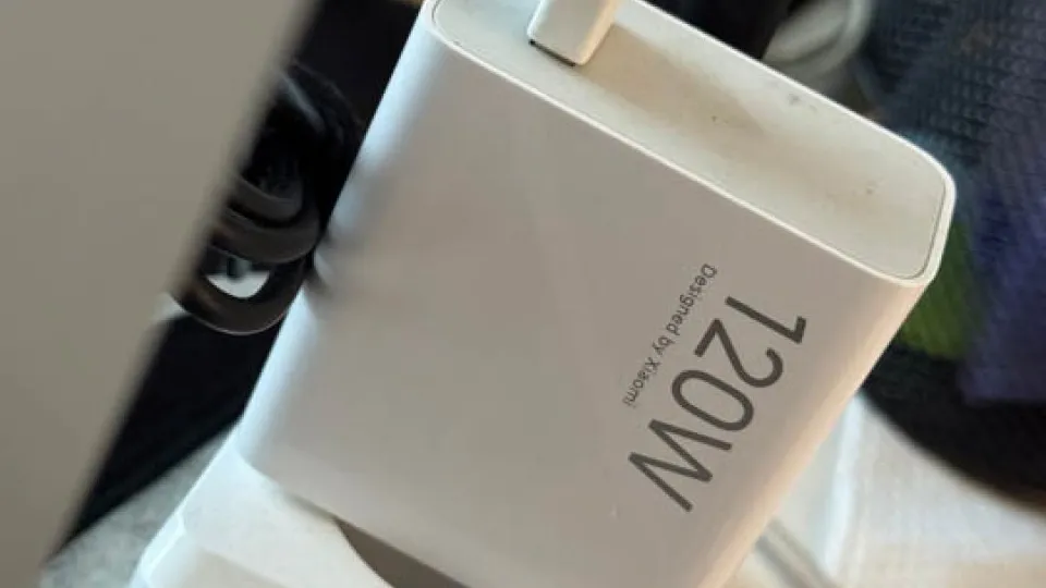 Фото: REGIONS/Владимир Ерастов