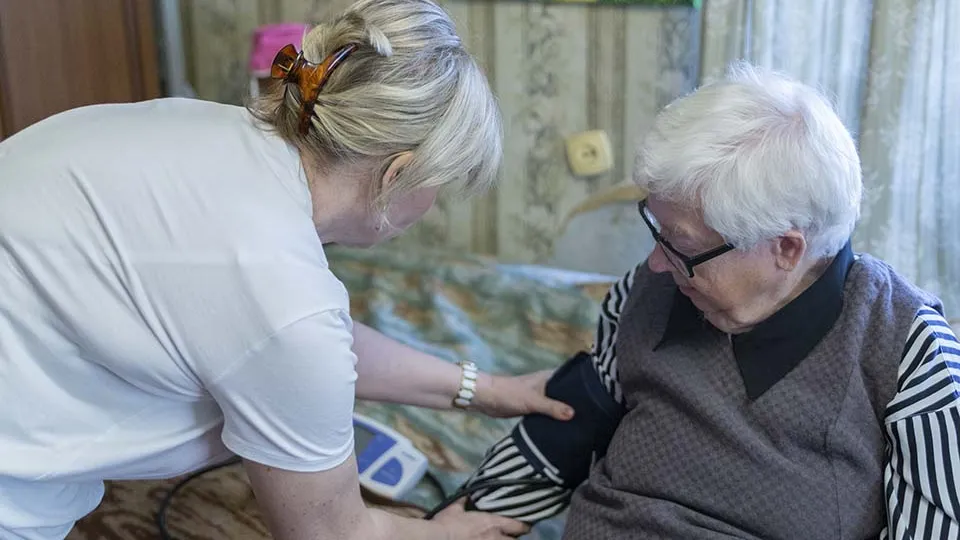 Фото: АНО «ЦСОМО»