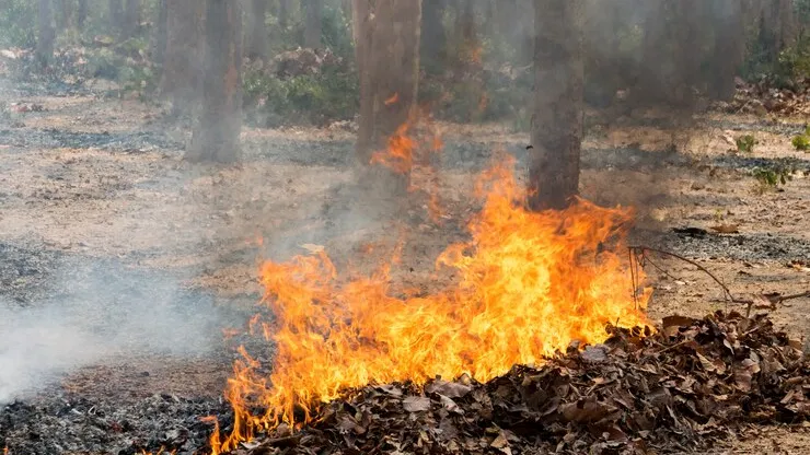 Фото: freepik.com