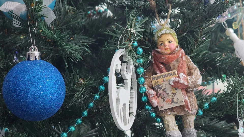 Фото: МедиаБанк Подмосковья/Валерия Тингаева