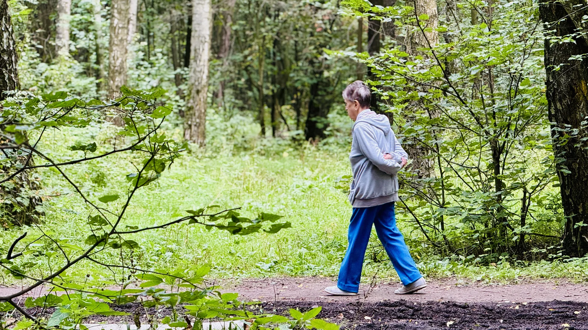 Фото: Медиабанк Подмосковья/Ольга Стаферова