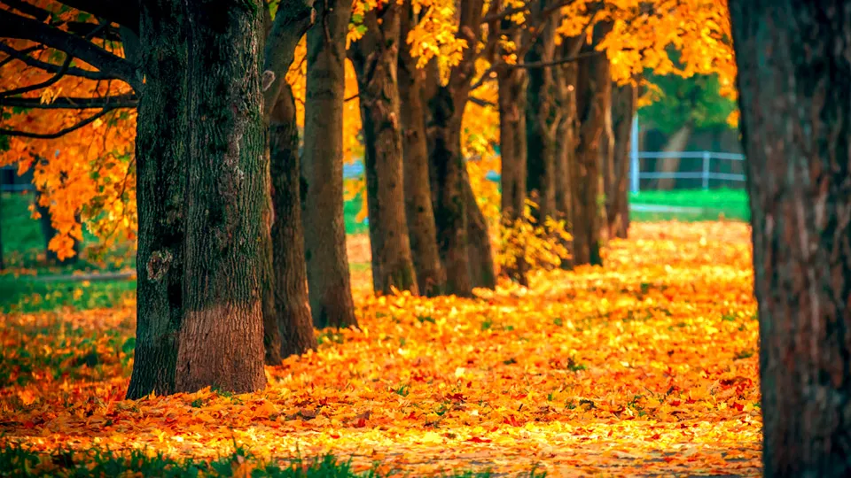 Фото: REGIONS/Владимир Ерастов