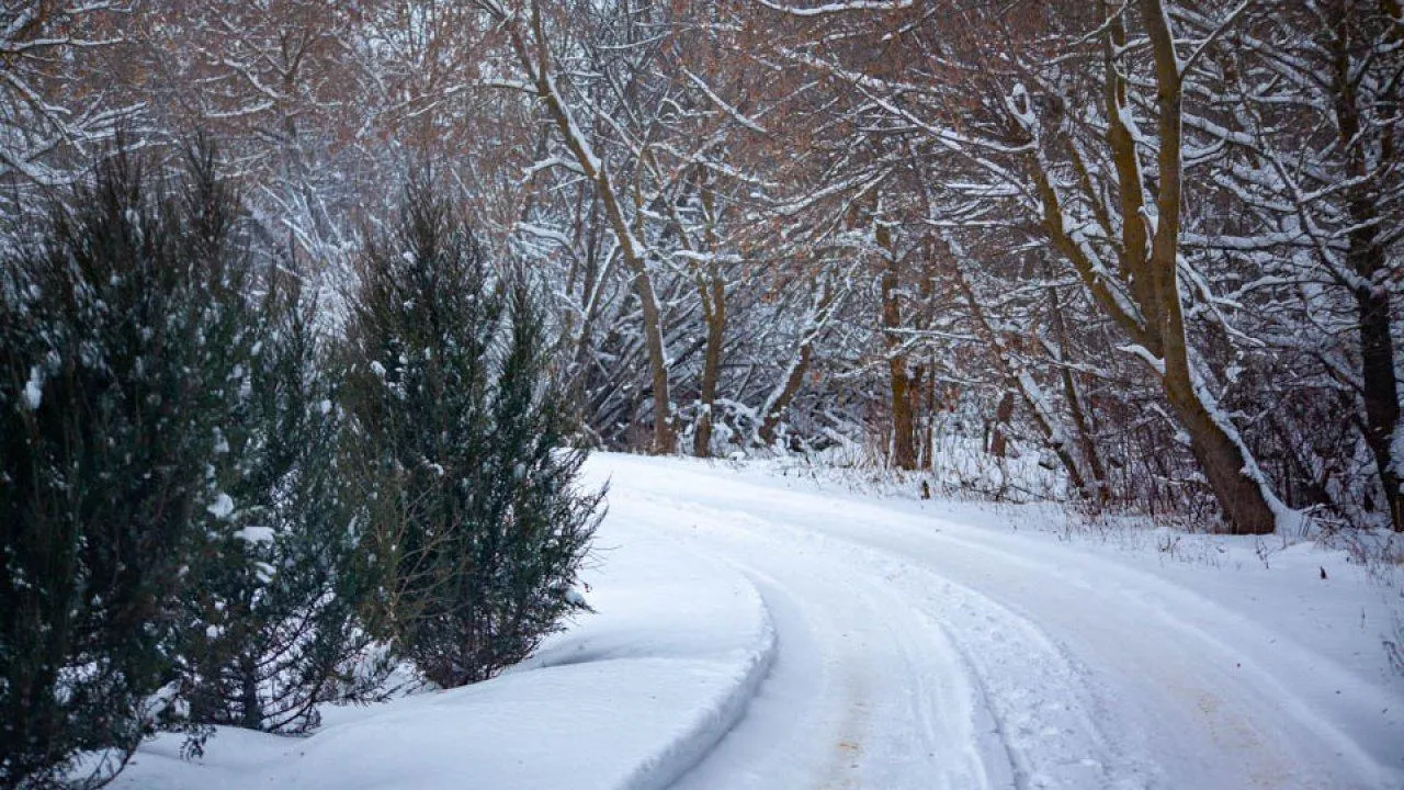 Фото: REGIONS/Дарья Левкина