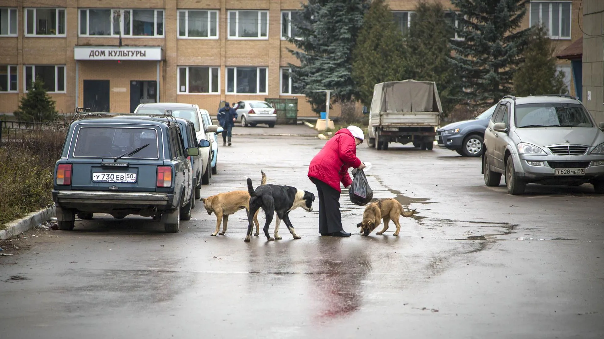 Фото: Павел Попов / Подмосковье сегодня