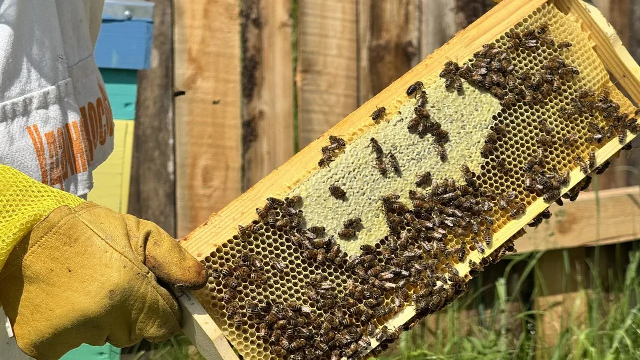 Медиабанк Подмосковья/Татьяна Рунова