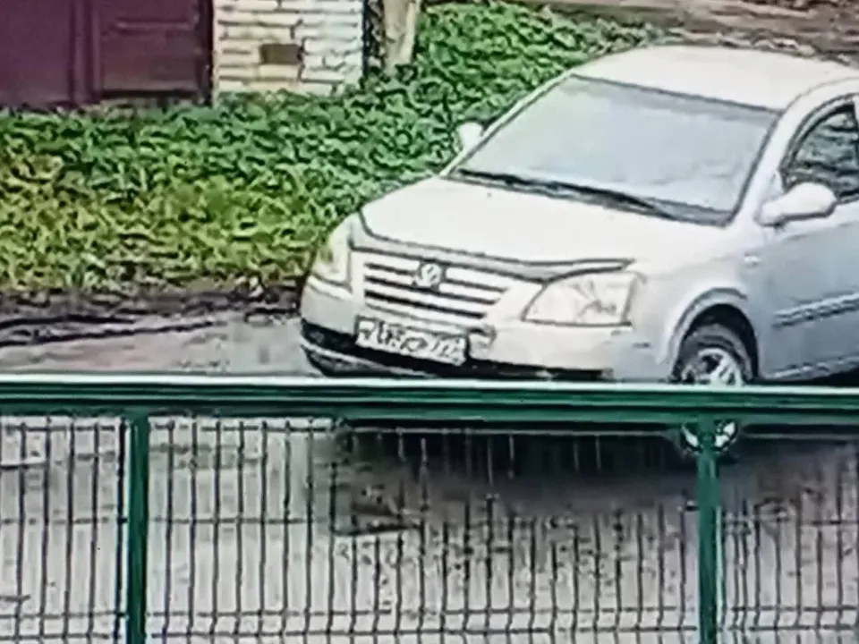 Фото: предоставлено Ольгой, хозяйкой собаки Сигма