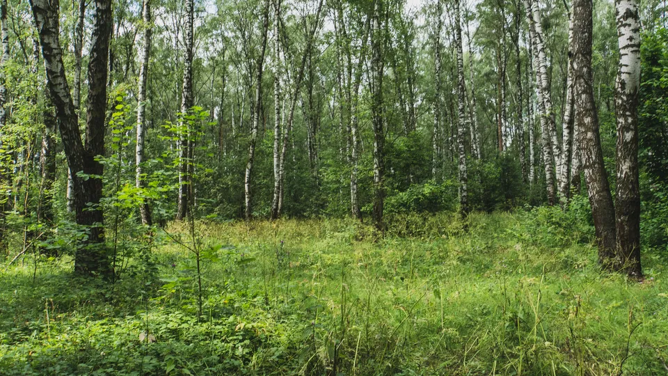 Фото: REGIONS/Наталия Надточая