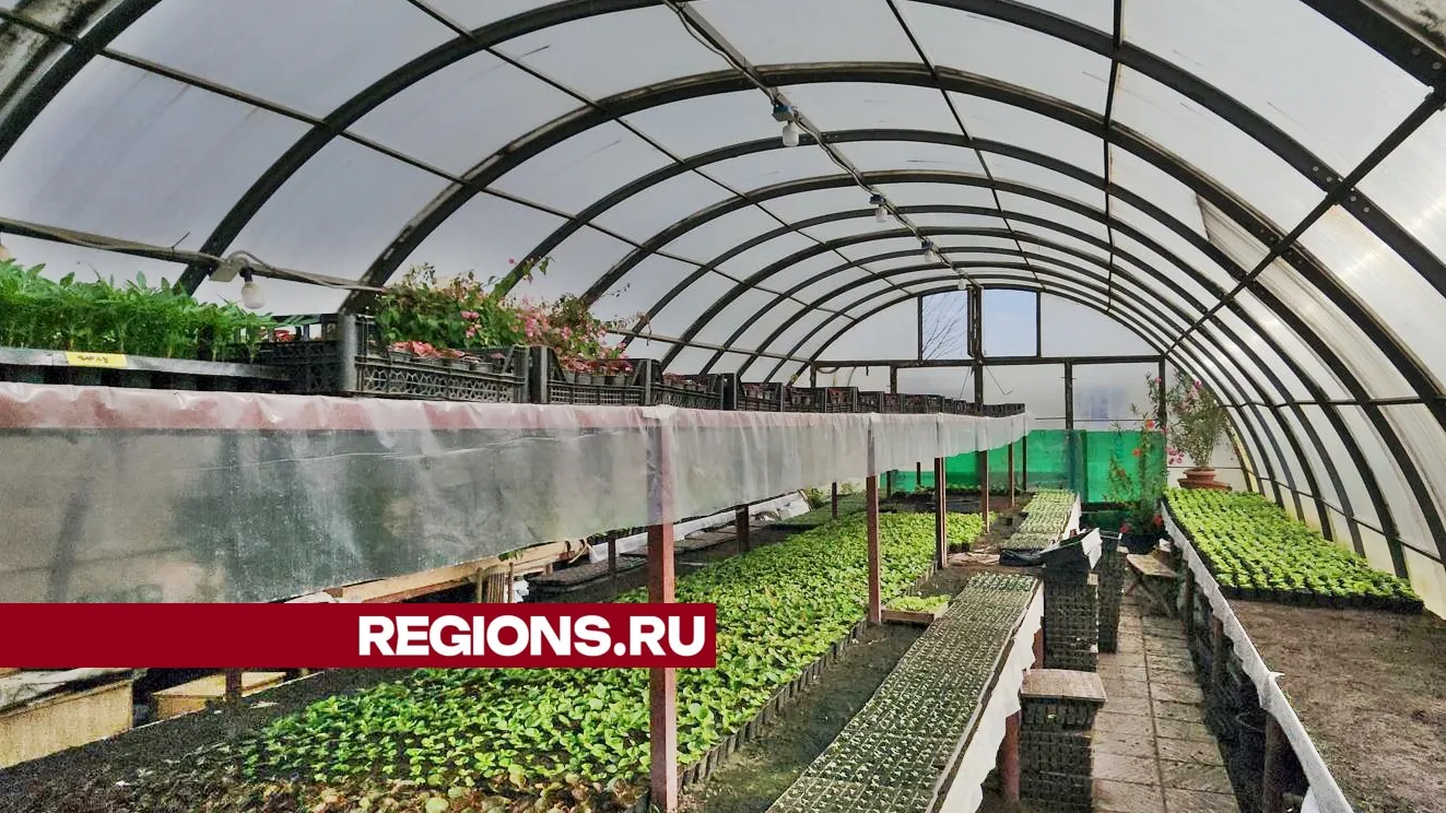 Фото: Валерий Гореловский