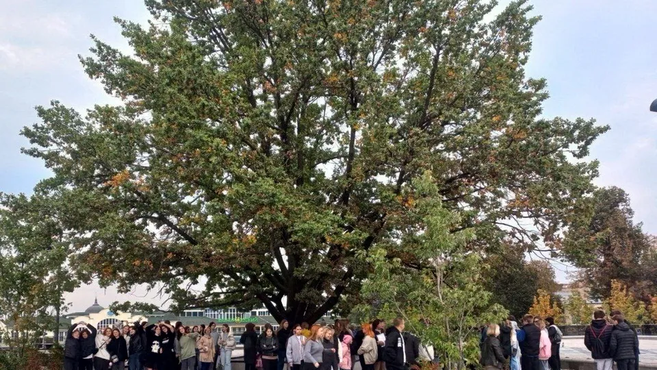 Фото: филиал государственного университета просвещения в Ногинске