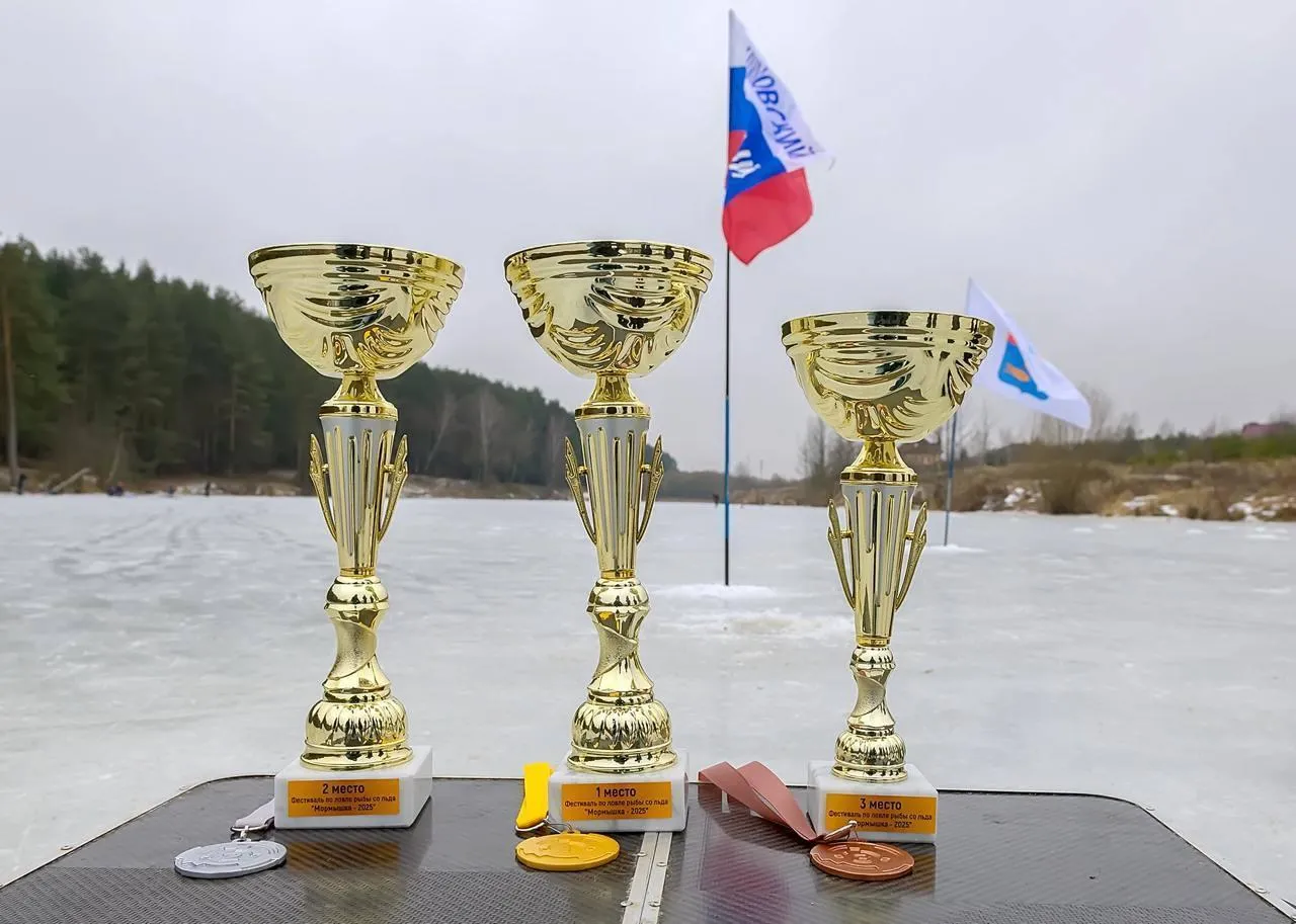 Пресс-служба администрации городского округа Подольск