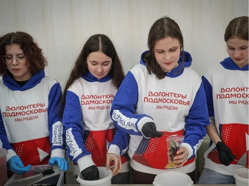 Фото: Пресс-служба губернатора и Правительства Московской области