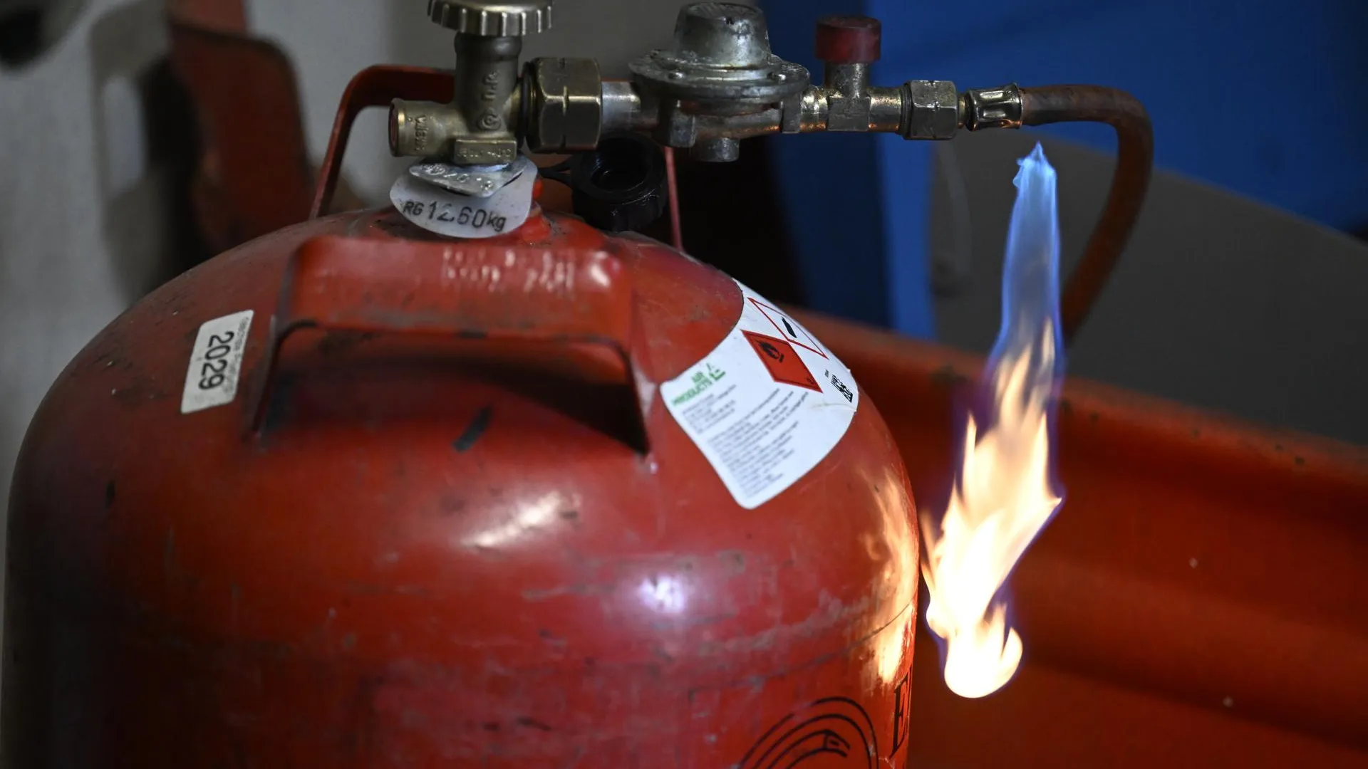 Roberto Pfeil/dpa/Global Look Press