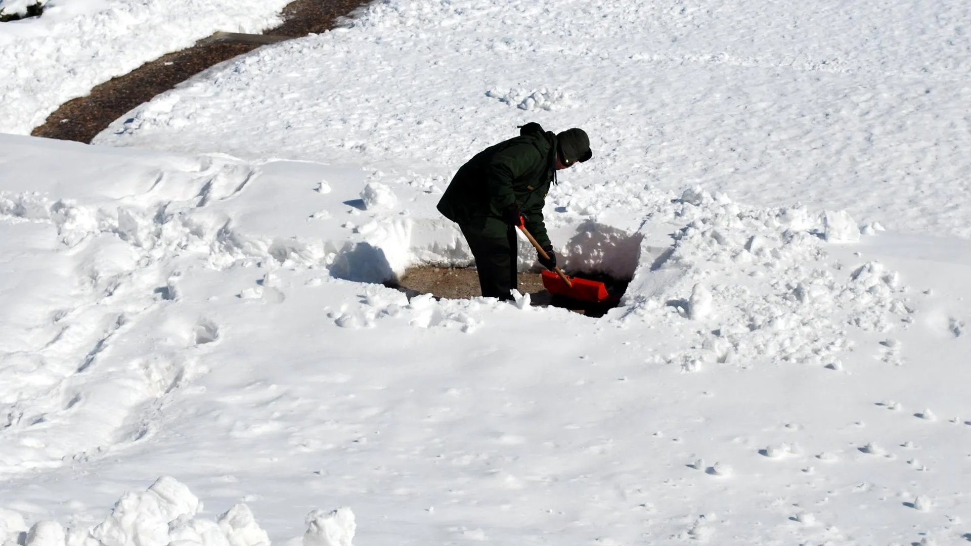 Фото: pxhere.com