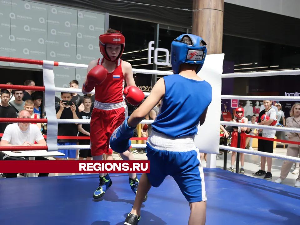 Пушкинские боксеры показали свое мастерство на региональном турнире по боксу в ТРЦ «Акварель»