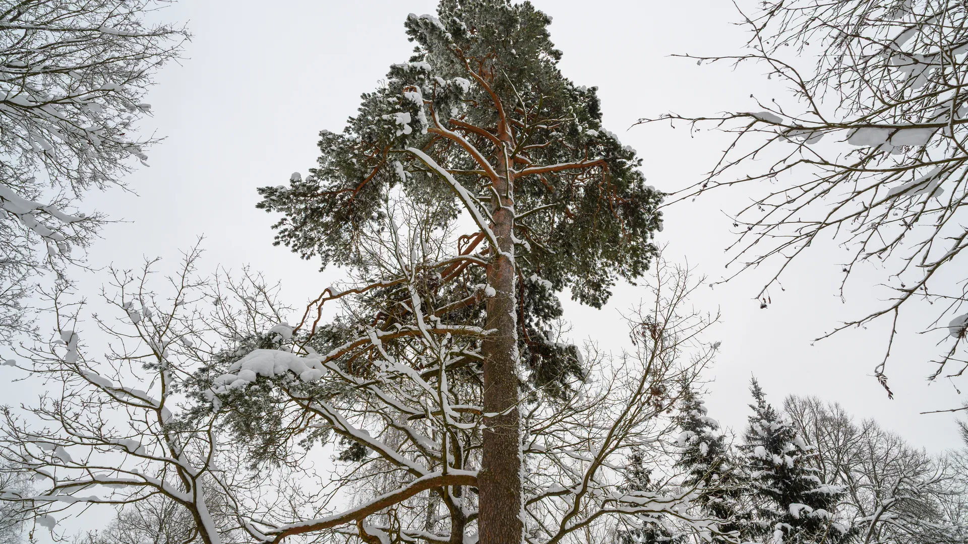 медиасток.рф